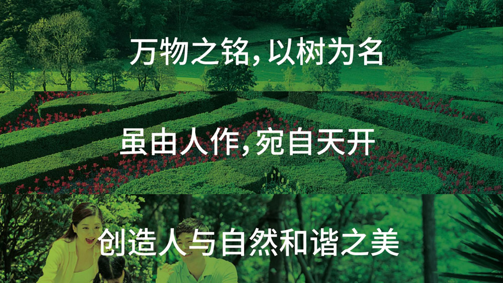 1615512093482801.jpg 新闻动态-内页模板004.jpg